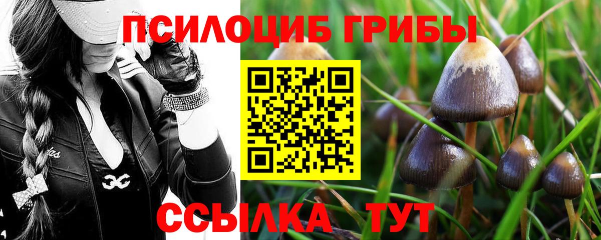 Псилоцибиновые грибы Magic Shrooms Горно-Алтайск