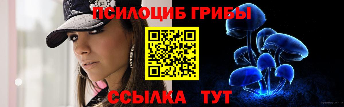 Горно-Алтайск  Псилоцибиновые грибы прущие грибы  Вход с VPN 
